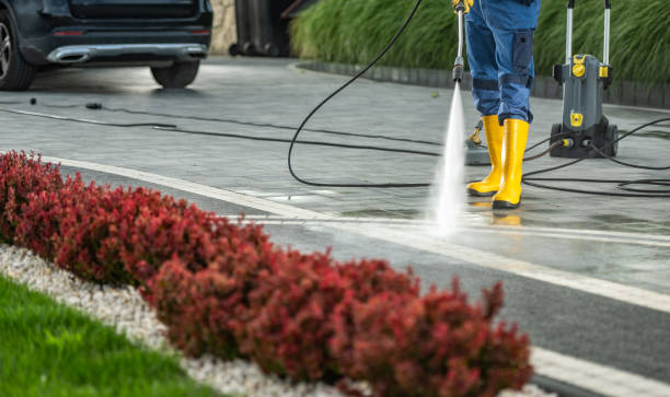 Best Patio and Deck Pressure Washing  in Morrison, IL